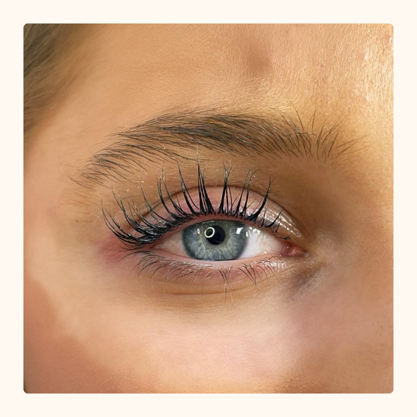 Lash lift + Tint -online Kursus